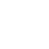 Since 1926 Icon